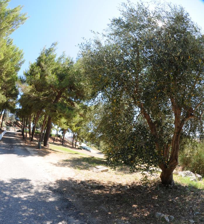 Villaggio Santo Stefano Vieste Kültér fotó